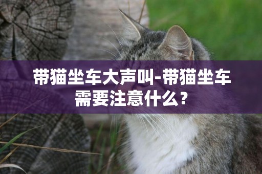帶貓坐車大聲叫-帶貓坐車需要注意什么？