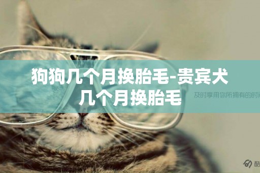 狗狗幾個月換胎毛-貴賓犬幾個月換胎毛