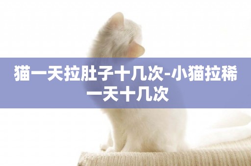 貓一天拉肚子十幾次-小貓拉稀 一天十幾次