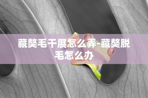 藏獒毛干展怎么弄-藏獒脫毛怎么辦