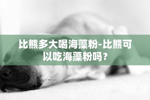 比熊多大喝海藻粉-比熊可以吃海藻粉嗎？