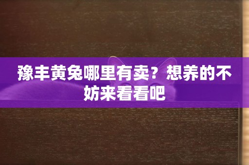 豫豐黃兔哪里有賣？想養的不妨來看看吧