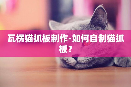 瓦楞貓抓板制作-如何自制貓抓板？