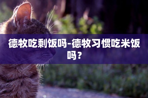 德牧吃剩飯嗎-德牧習慣吃米飯嗎？