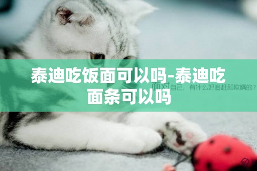 泰迪吃飯面可以嗎-泰迪吃面條可以嗎