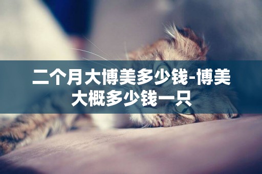 二個月大博美多少錢-博美大概多少錢一只