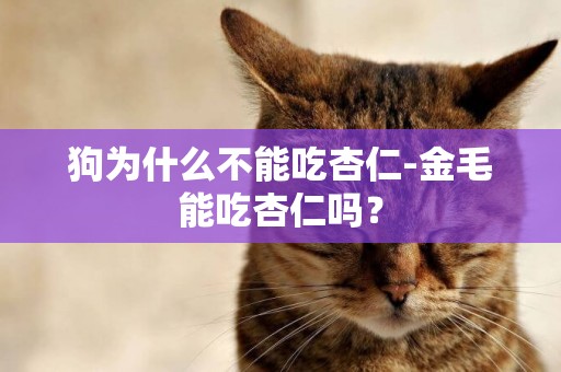 狗為什么不能吃杏仁-金毛能吃杏仁嗎？