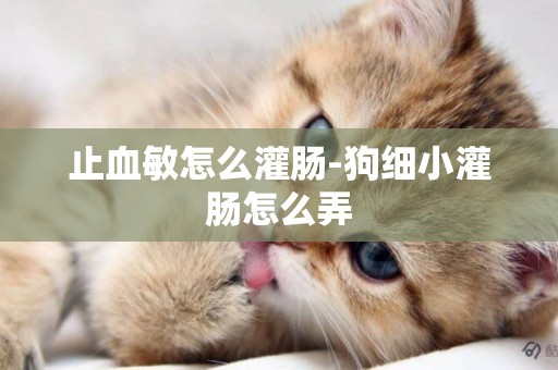止血敏怎么灌腸-狗細小灌腸怎么弄
