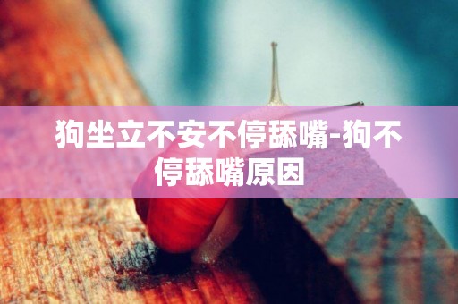 狗坐立不安不停舔嘴-狗不停舔嘴原因