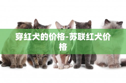 穿紅犬的價格-蘇聯紅犬價格
