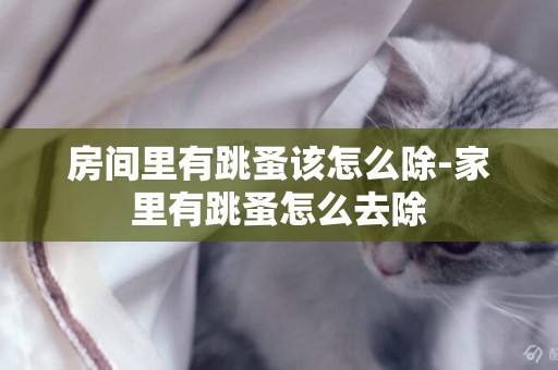 房間里有跳蚤該怎么除-家里有跳蚤怎么去除