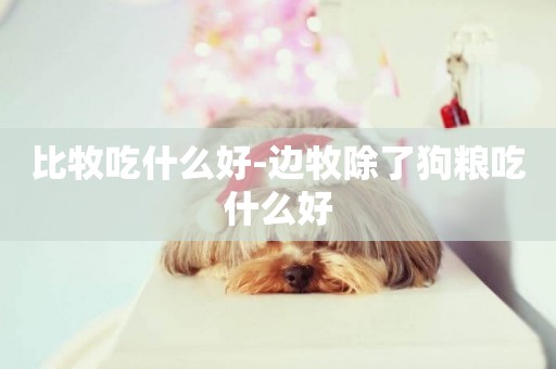 比牧吃什么好-邊牧除了狗糧吃什么好