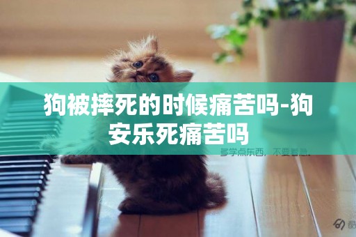 狗被摔死的時候痛苦嗎-狗安樂死痛苦嗎