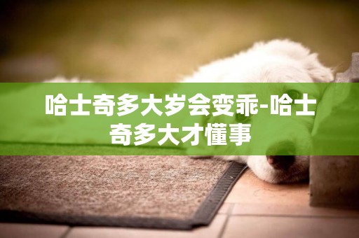 哈士奇多大歲會變乖-哈士奇多大才懂事
