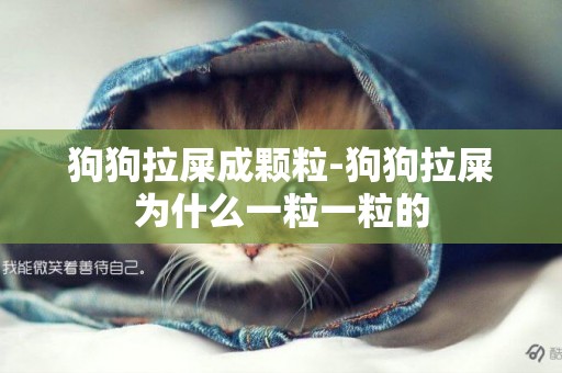 狗狗拉屎成顆粒-狗狗拉屎為什么一粒一粒的