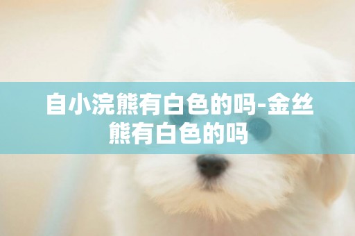 自小浣熊有白色的嗎-金絲熊有白色的嗎