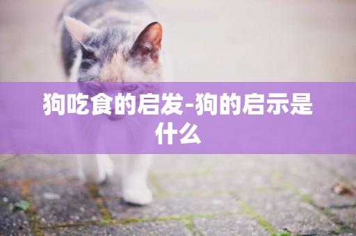 狗吃食的啟發-狗的啟示是什么