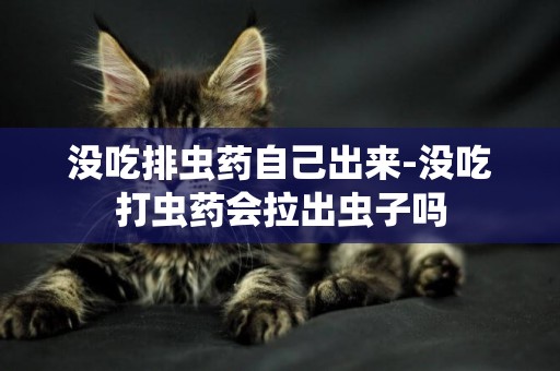 沒吃排蟲藥自己出來-沒吃打蟲藥會拉出蟲子嗎