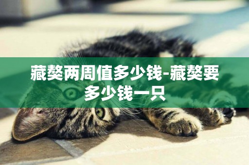藏獒兩周值多少錢-藏獒要多少錢一只