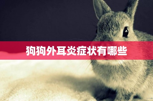 狗狗外耳炎癥狀有哪些