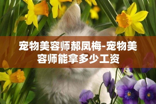 寵物美容師郝鳳梅-寵物美容師能拿多少工資