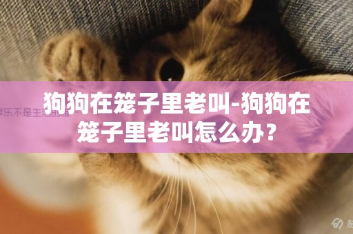 狗狗在籠子里老叫-狗狗在籠子里老叫怎么辦？