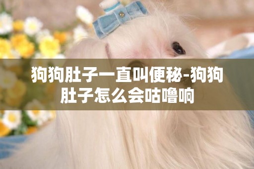 狗狗肚子一直叫便秘-狗狗肚子怎么會咕嚕響