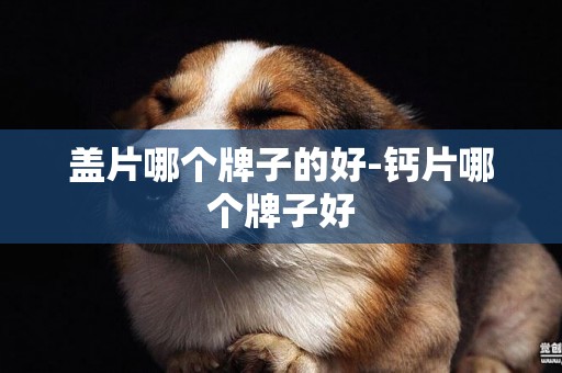 蓋片哪個牌子的好-鈣片哪個牌子好