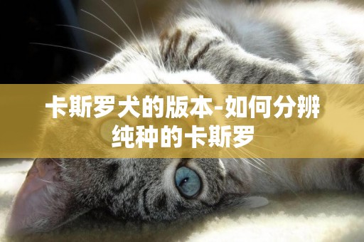 卡斯羅犬的版本-如何分辨純種的卡斯羅