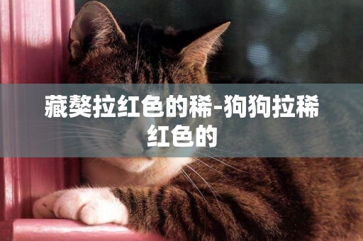 藏獒拉紅色的稀-狗狗拉稀紅色的