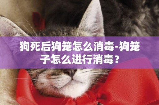 狗死后狗籠怎么消毒-狗籠子怎么進行消毒？