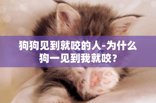 狗狗見到就咬的人-為什么狗一見到我就咬？