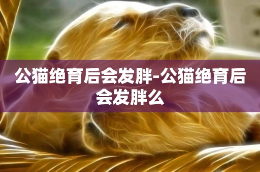 公貓絕育后會發胖-公貓絕育后會發胖么