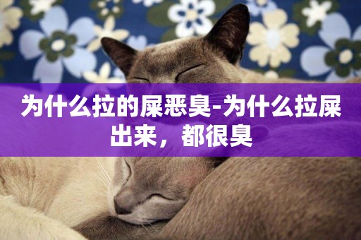 為什么拉的屎惡臭-為什么拉屎出來，都很臭
