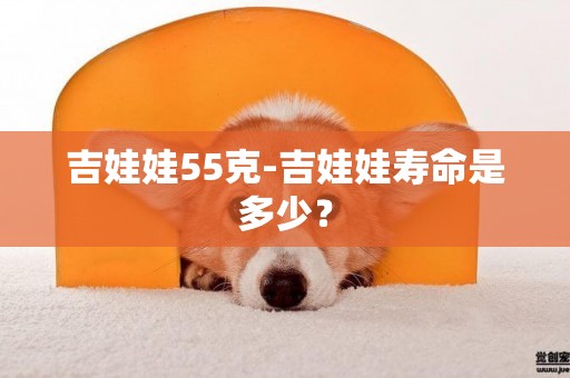 吉娃娃55克-吉娃娃壽命是多少？