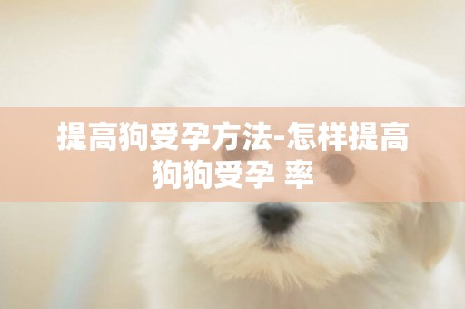 提高狗受孕方法-怎樣提高狗狗受孕 率