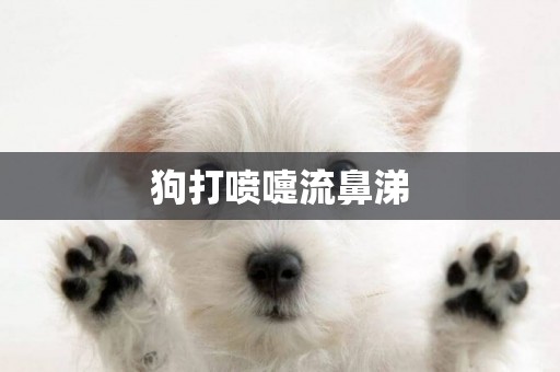狗打噴嚏流鼻涕