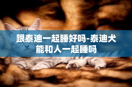 跟泰迪一起睡好嗎-泰迪犬能和人一起睡嗎