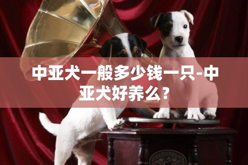 中亞犬一般多少錢一只-中亞犬好養么？