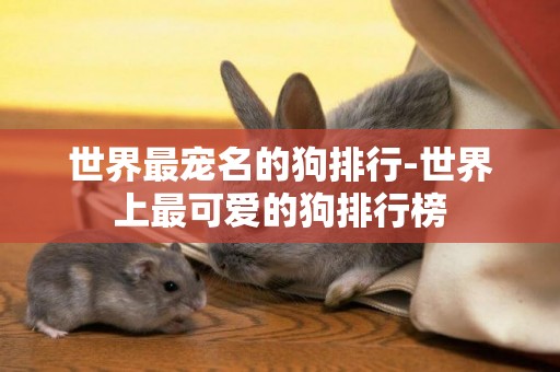 世界最寵名的狗排行-世界上最可愛的狗排行榜
