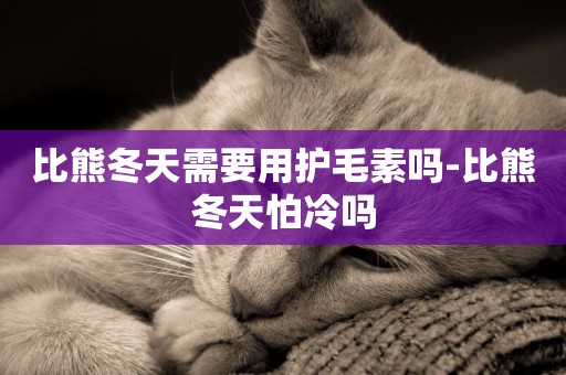 比熊冬天需要用護毛素嗎-比熊冬天怕冷嗎