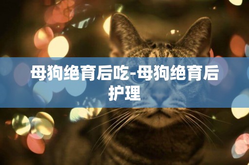 母狗絕育后吃-母狗絕育后護理