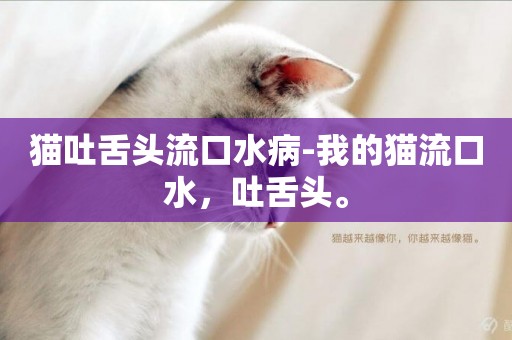 貓吐舌頭流口水病-我的貓流口水，吐舌頭。