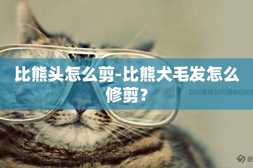 比熊頭怎么剪-比熊犬毛發怎么修剪？