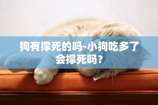 狗有撐死的嗎-小狗吃多了會撐死嗎？