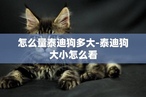 怎么量泰迪狗多大-泰迪狗大小怎么看