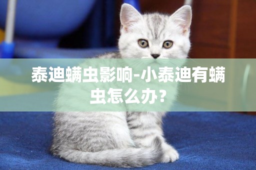 泰迪螨蟲影響-小泰迪有螨蟲怎么辦？