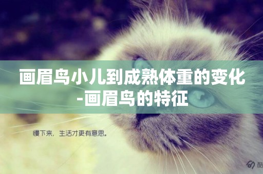 畫眉鳥小兒到成熟體重的變化-畫眉鳥的特征