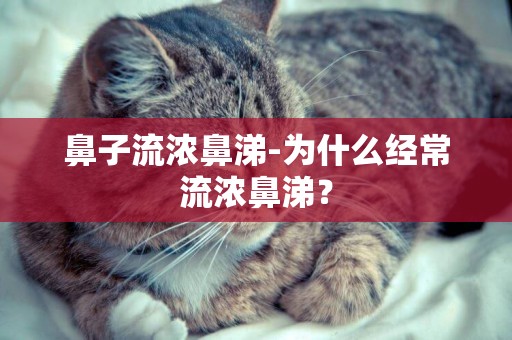 鼻子流濃鼻涕-為什么經常流濃鼻涕？