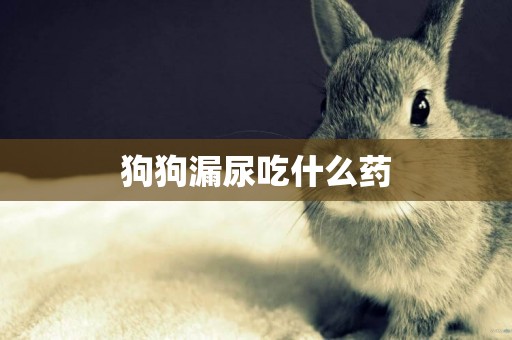 狗狗漏尿吃什么藥